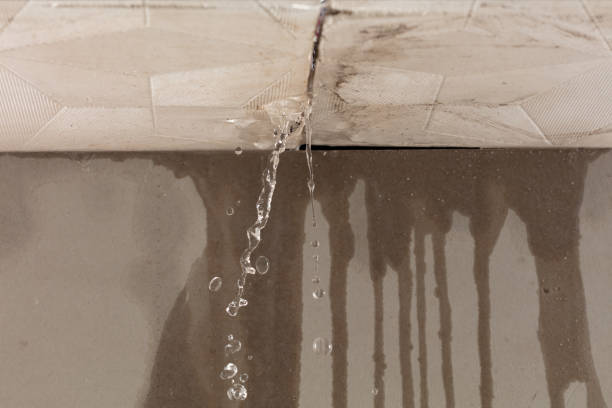 Professional Sewage Cleanup technician working in Milan, NM